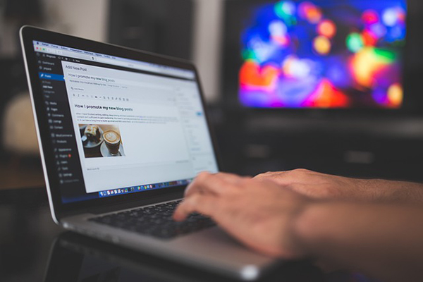 wordpress development courses